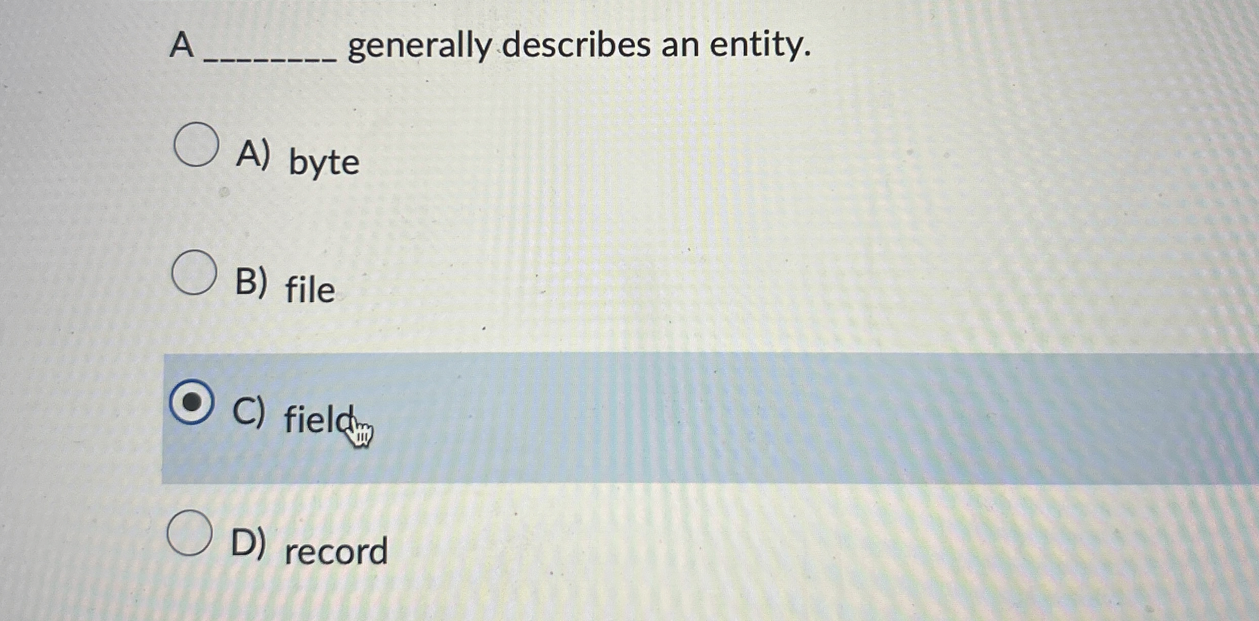 A generally describes an entity. A ) byte B )