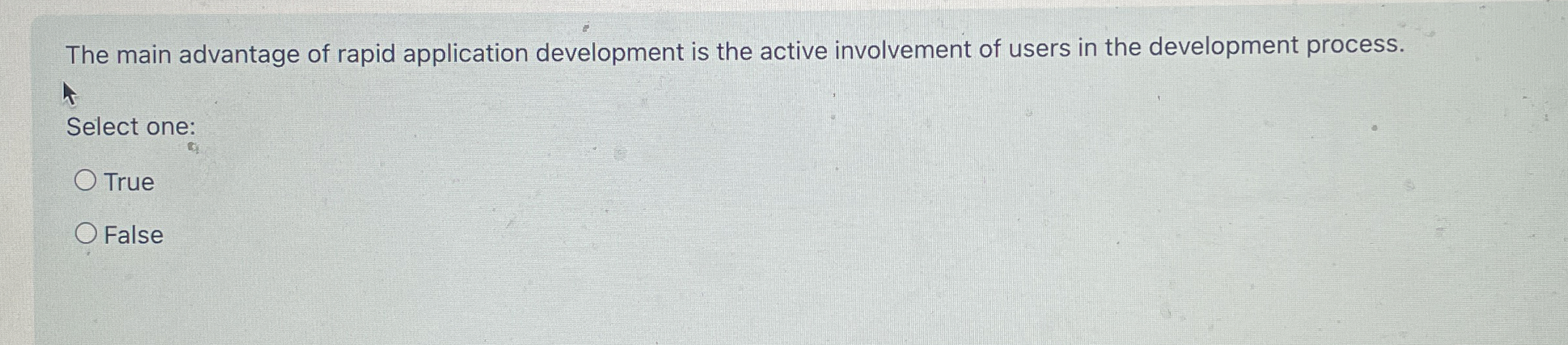 The main advantage of rapid application