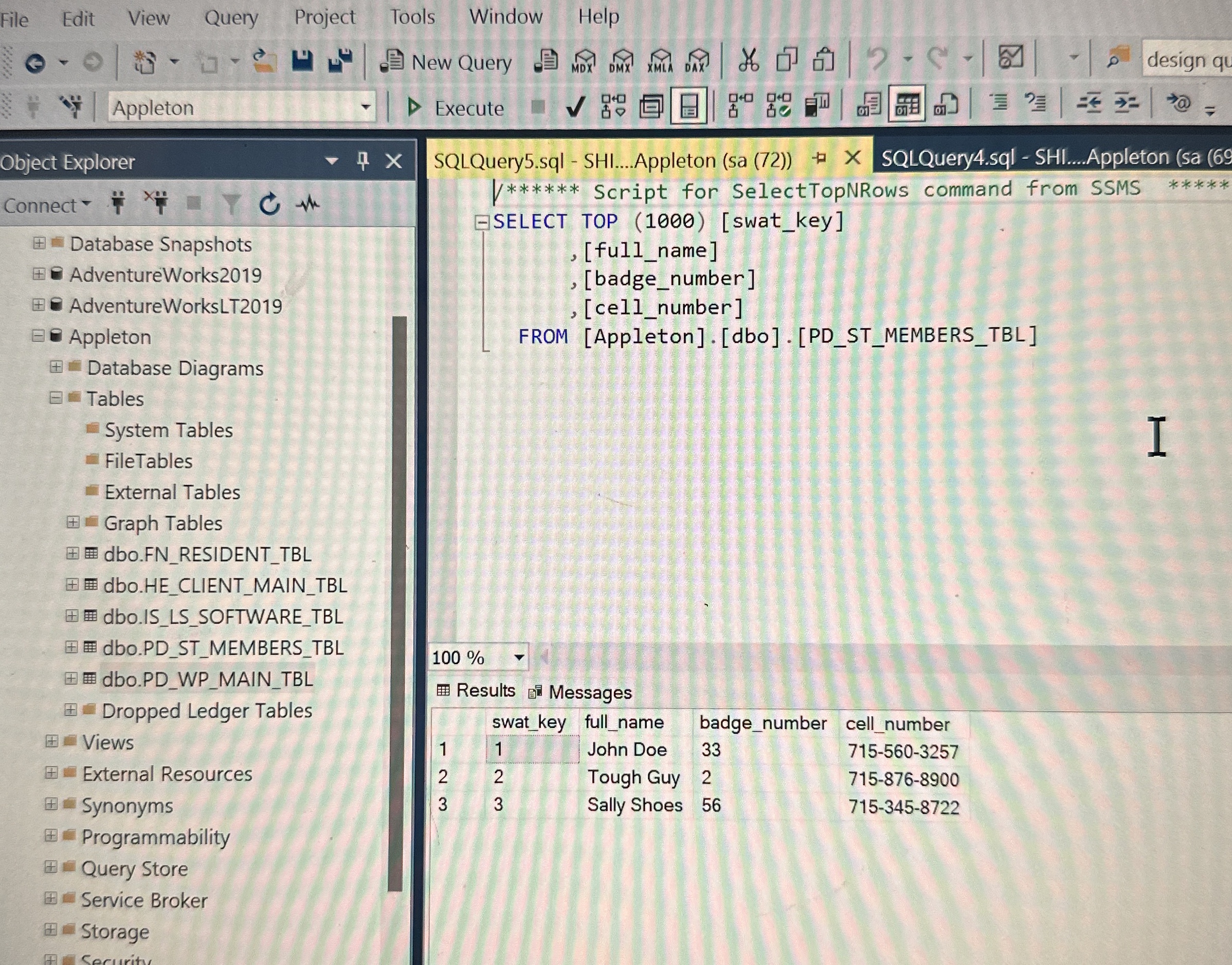 Database Snapshots - SELECT TOP ( 1 0 0 0 ) [