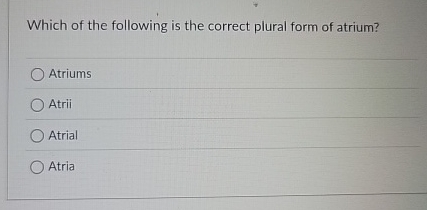 Which of the following is the correct plural form