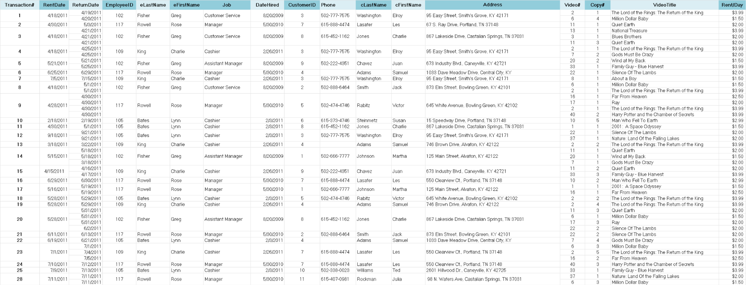 Before Netflix existed, there were stores where