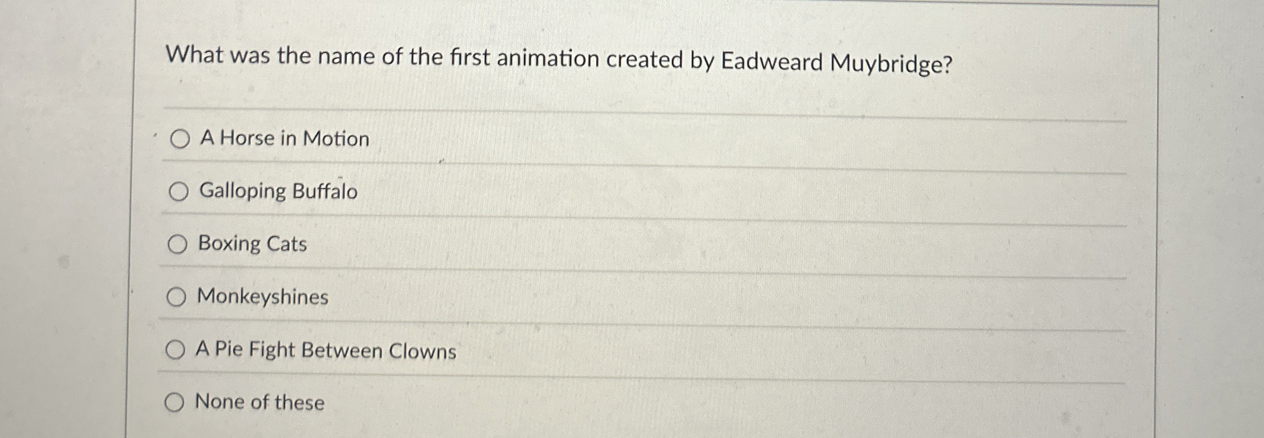 What was the name of the first animation created