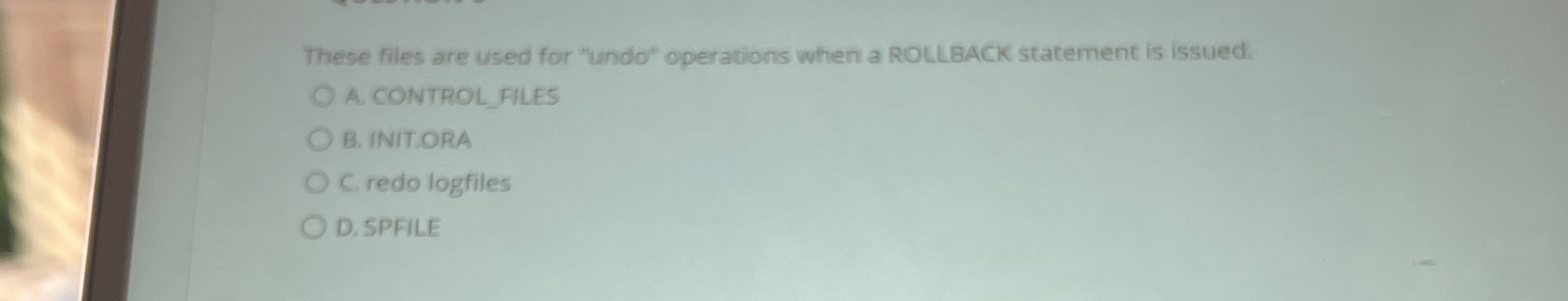 These files are used for "undo" operations when a
