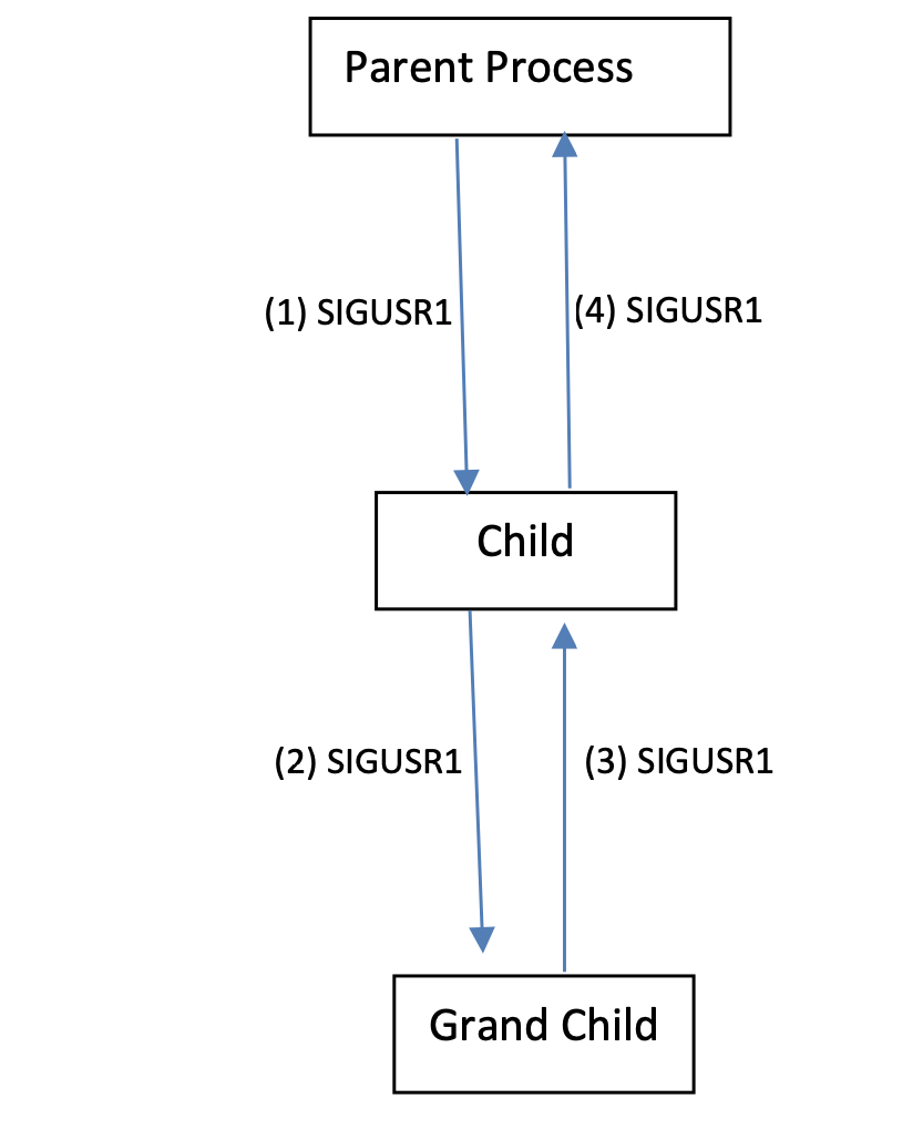 We are creating a C program with the following