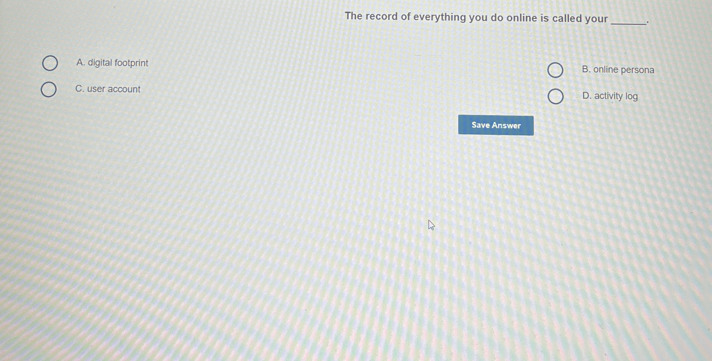 The record of everything you do online is called