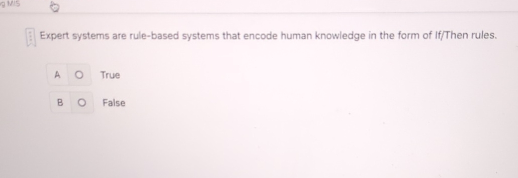 ( 5 ) Expert systems are rule - based systems
