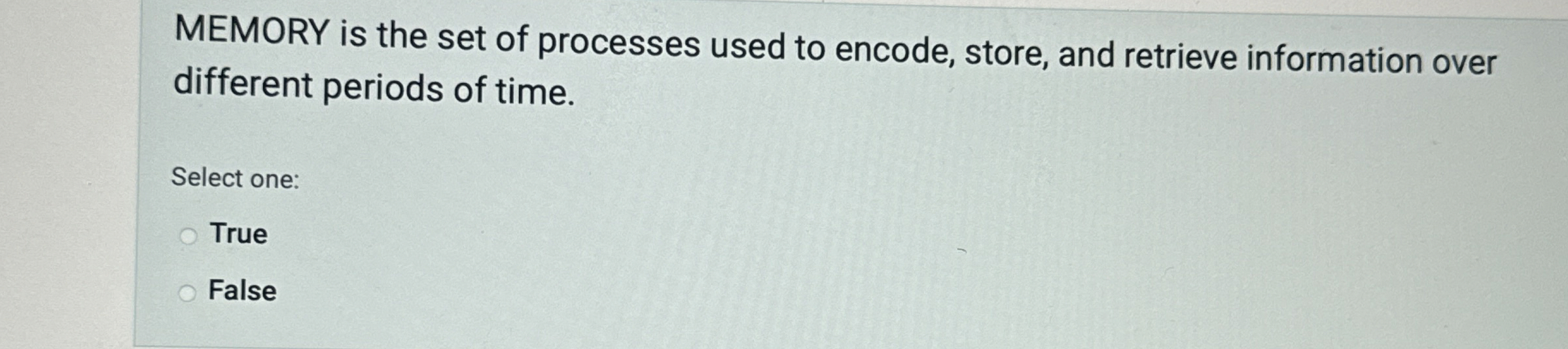 MEMORY is the set of processes used to encode,