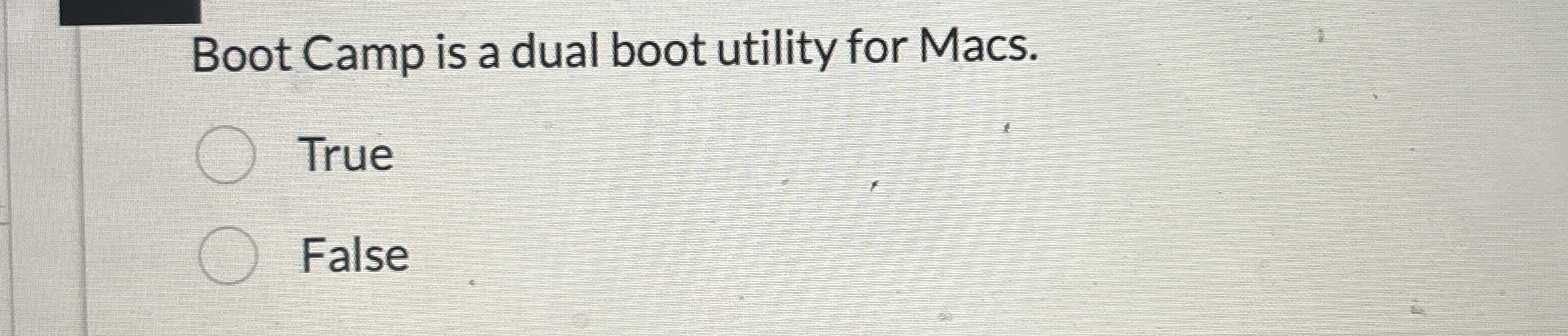Boot Camp is a dual boot utility for Macs. True