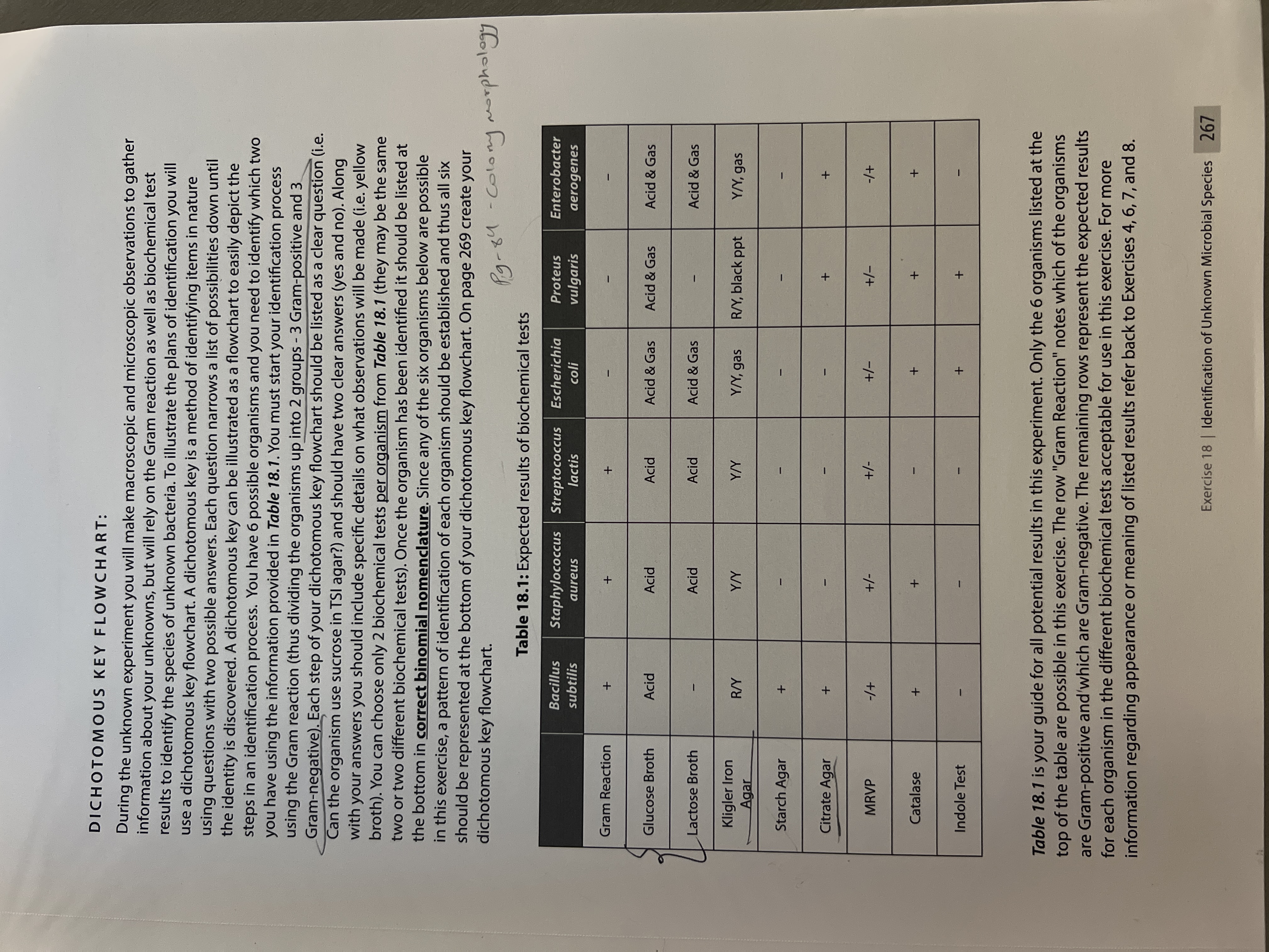 I really need help with this, please create a