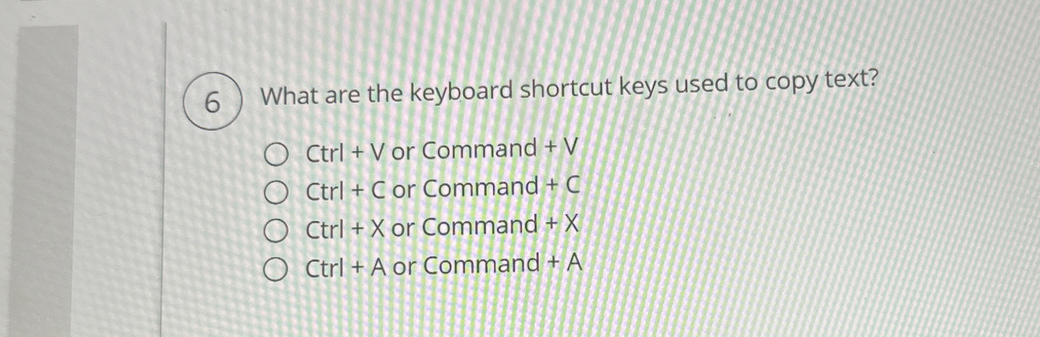 What are the keyboard shortcut keys used to copy