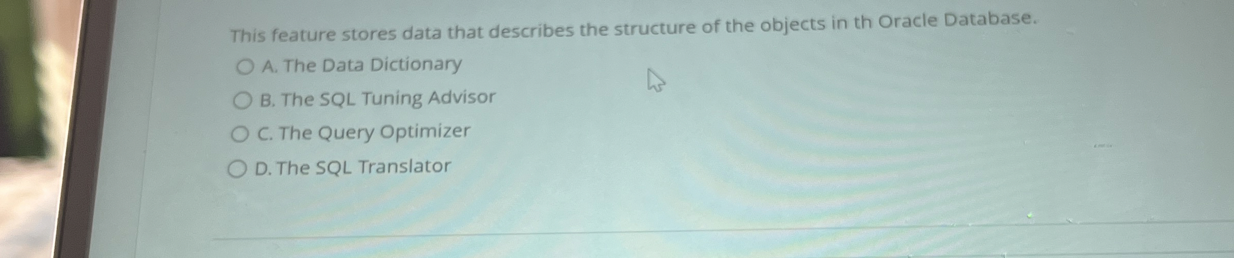 This feature stores data that describes the