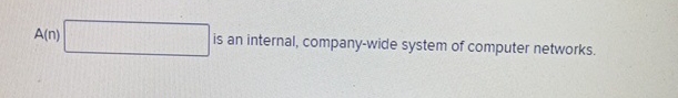A ( n ) is an internal, company - wide system of