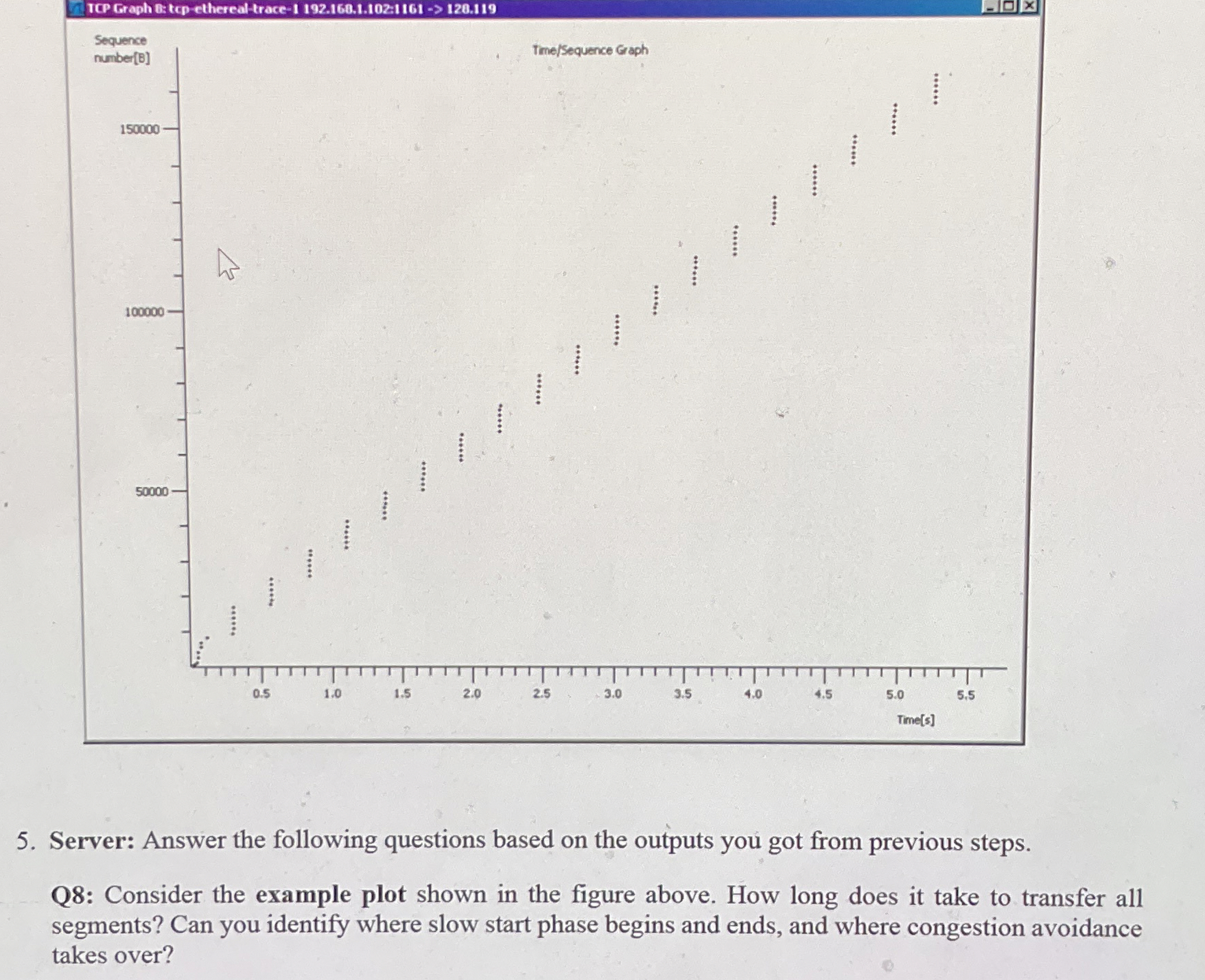 Server: Answer the following questions based on
