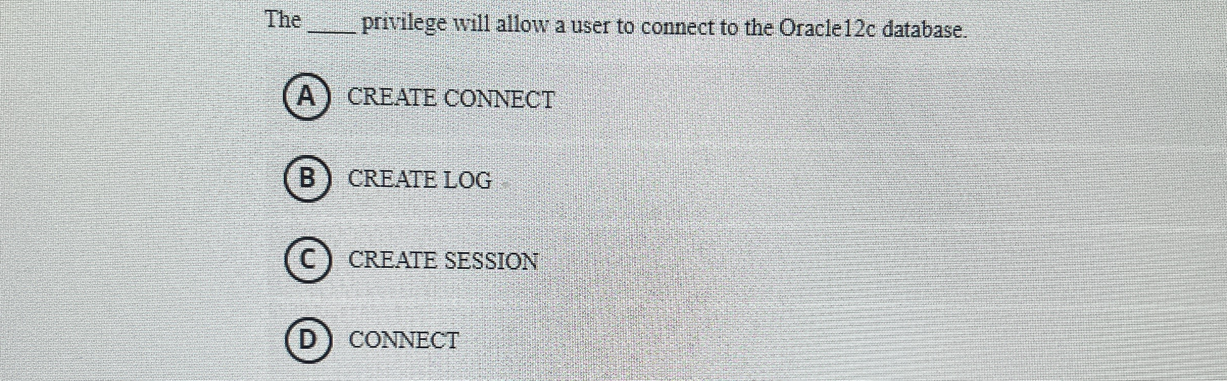 The privilege will allow a user to connect to the