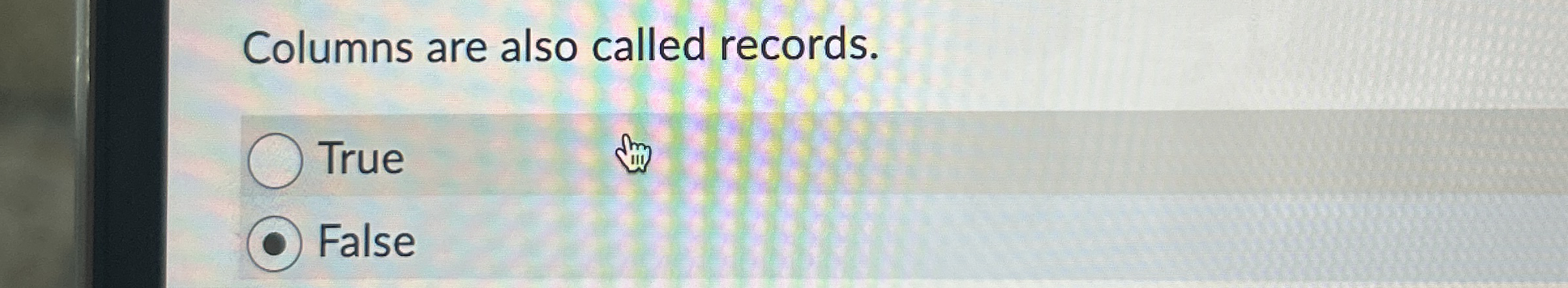 Columns are also called records. True False