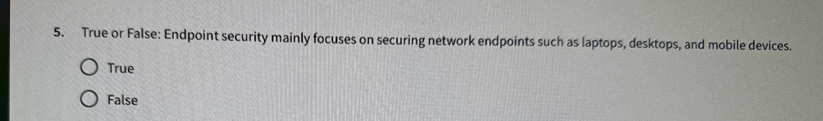 True or False: Endpoint security mainly focuses