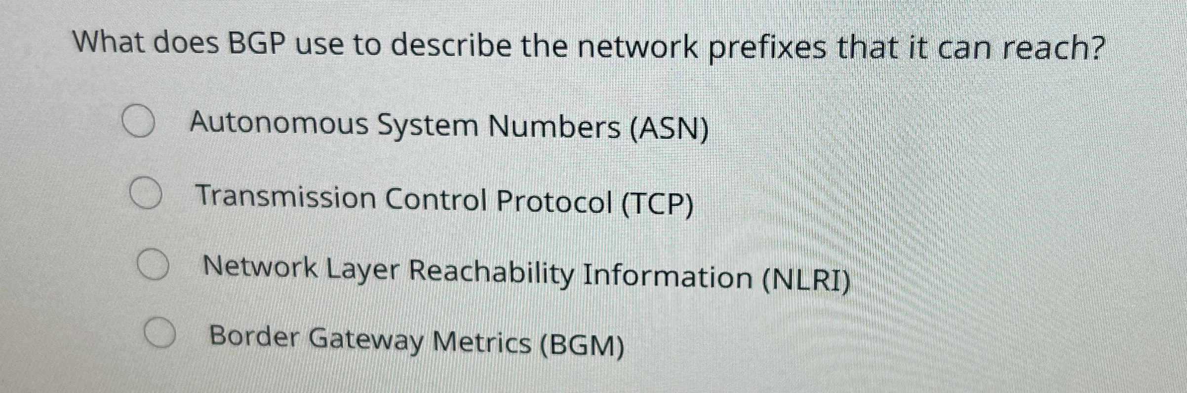 What does BGP use to describe the network
