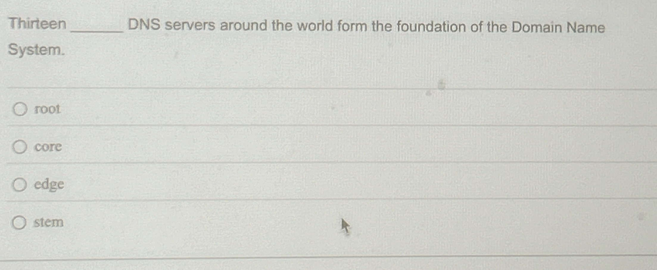 Thirteen DNS servers around the world form the