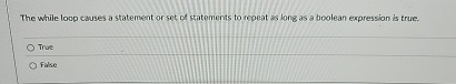 The while loop causes a statement or set of