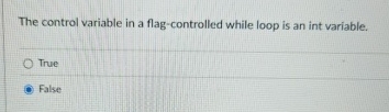 The control variable in a flag - controlled while