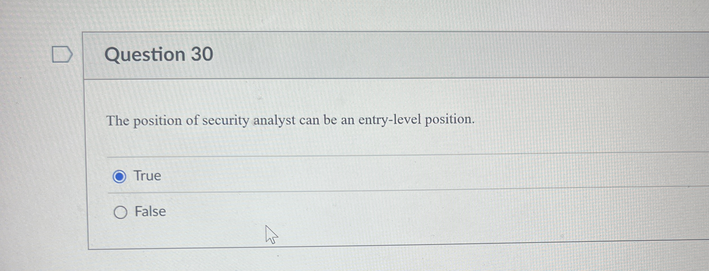 Question 3 0 The position of security analyst can