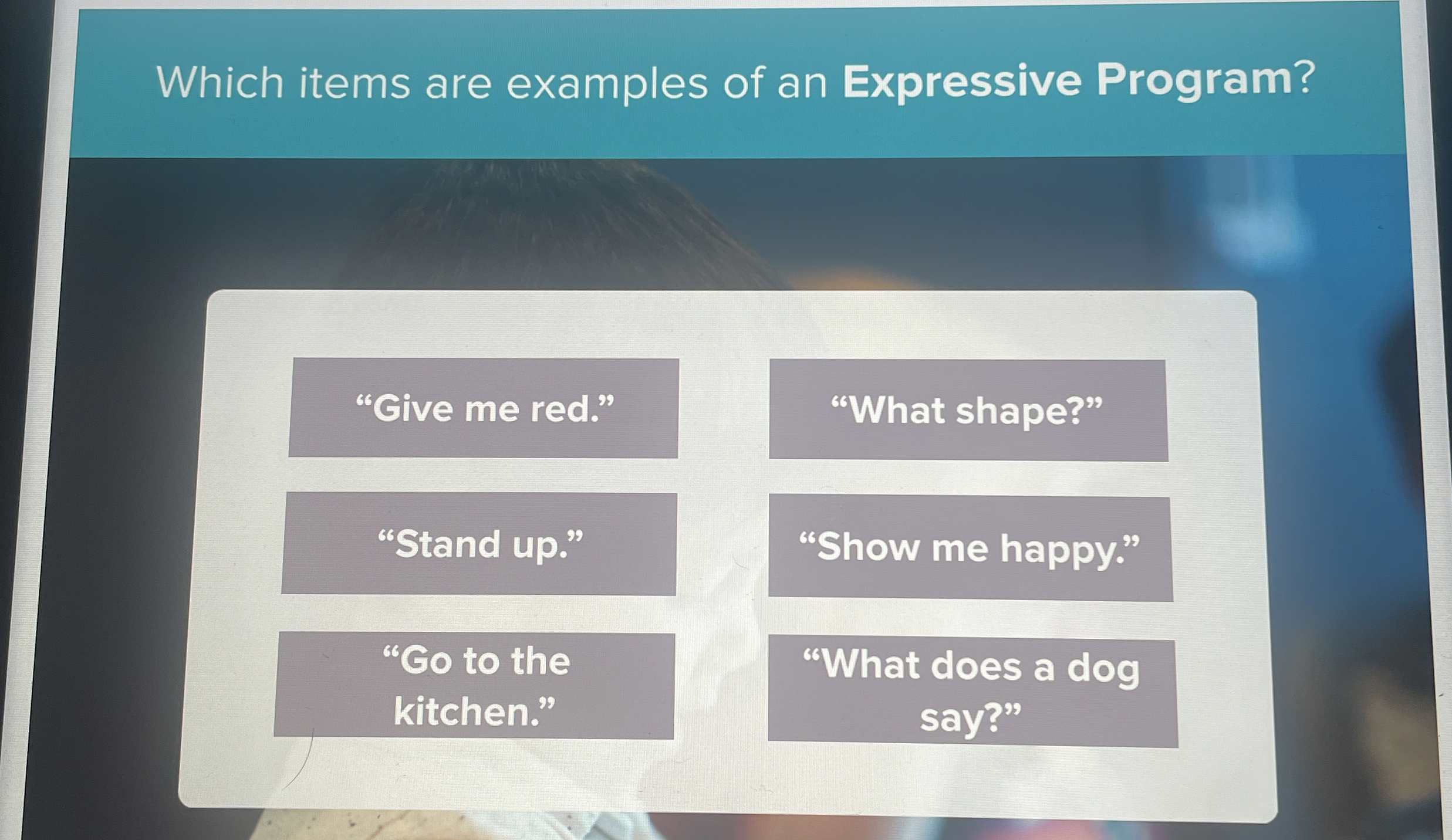Which items are examples of an Expressive