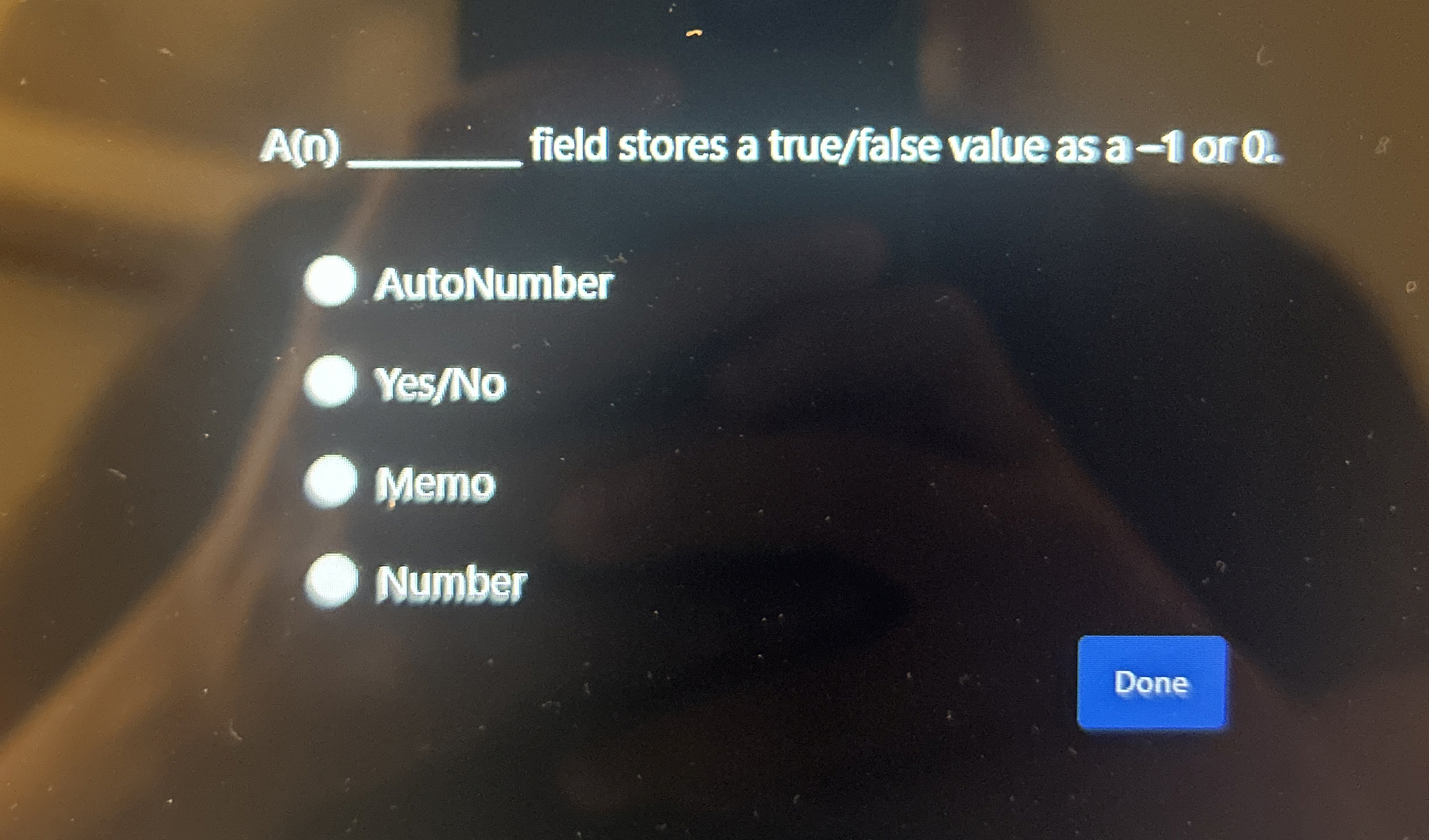 A ( D ) field stores a true / false value as a -