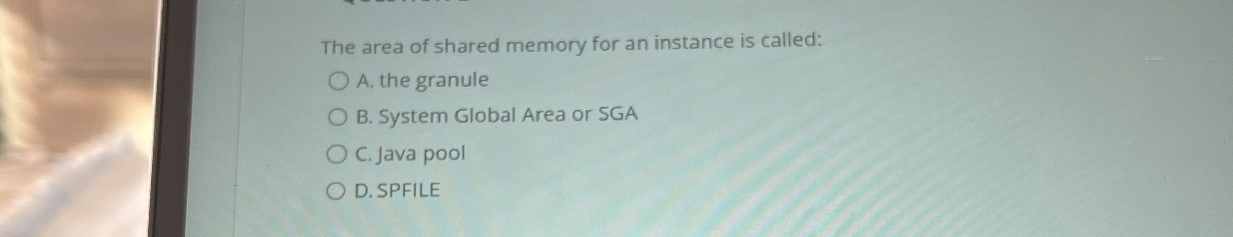 The area of shared memory for an instance is