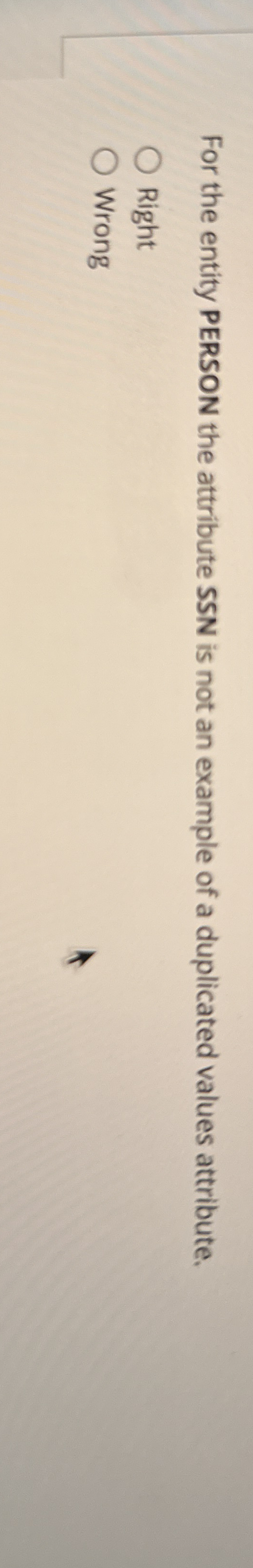 For the entity PERSON the attribute SSN is not an