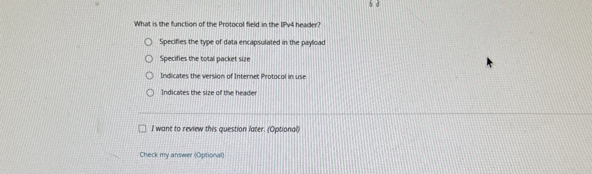 What is the function of the Protocol field in the
