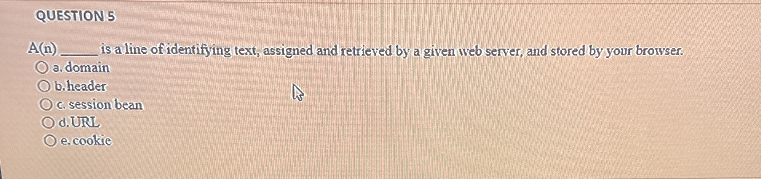 QUESTION 5 A ( n ) is a line of identifying text,
