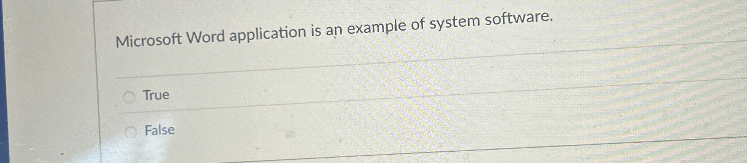 Microsoft Word application is an example of