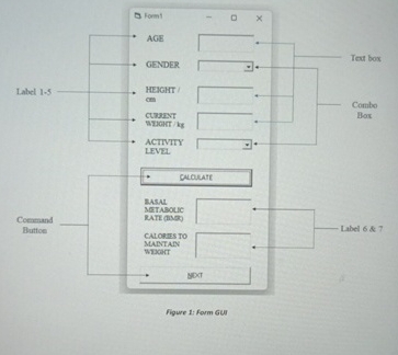 give me a code for this in visual basic Flgure 1