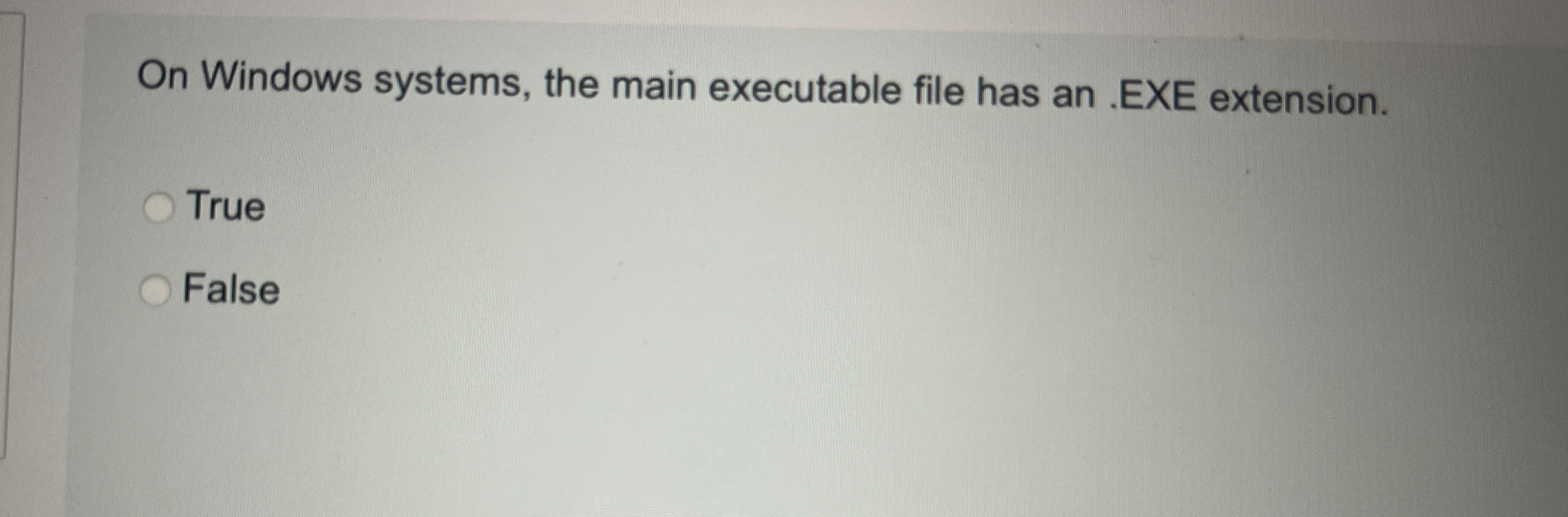On Windows systems, the main executable file has