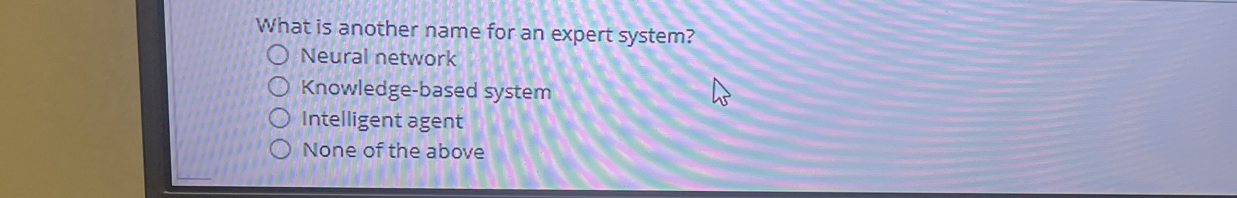 What is another name for an expert system? Neural