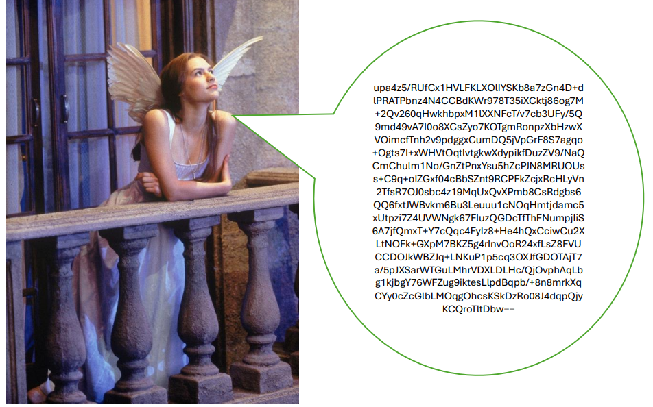 Identify the type of encryption in each of the
