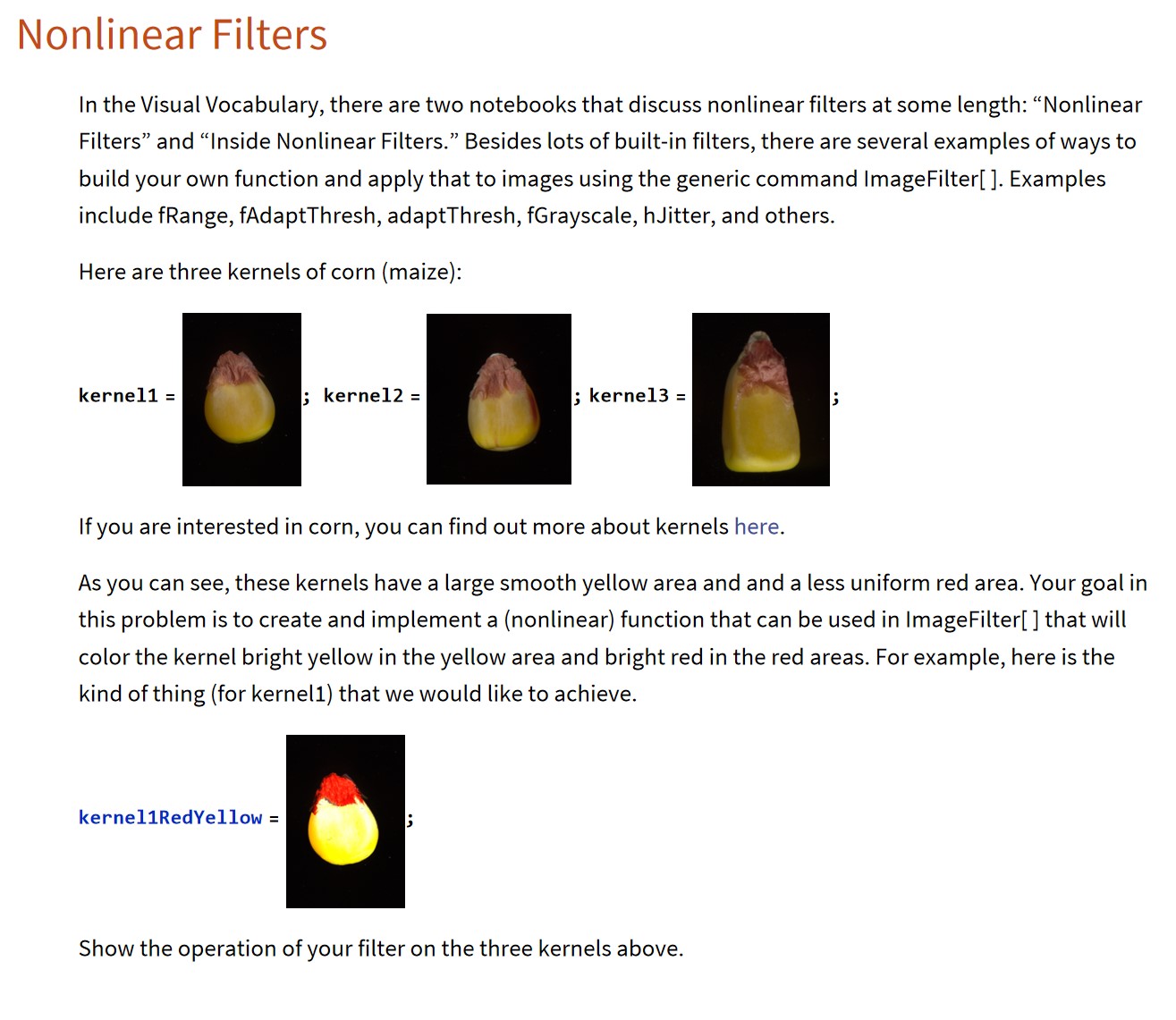 Nonlinear Filters In the Visual Vocabulary, there