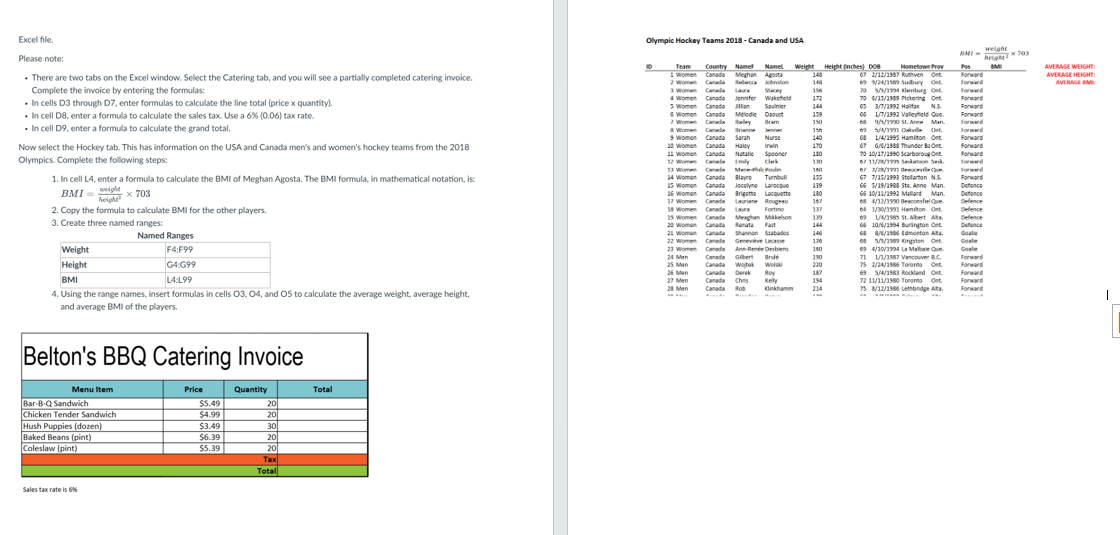 Need help with putting this data in Excel