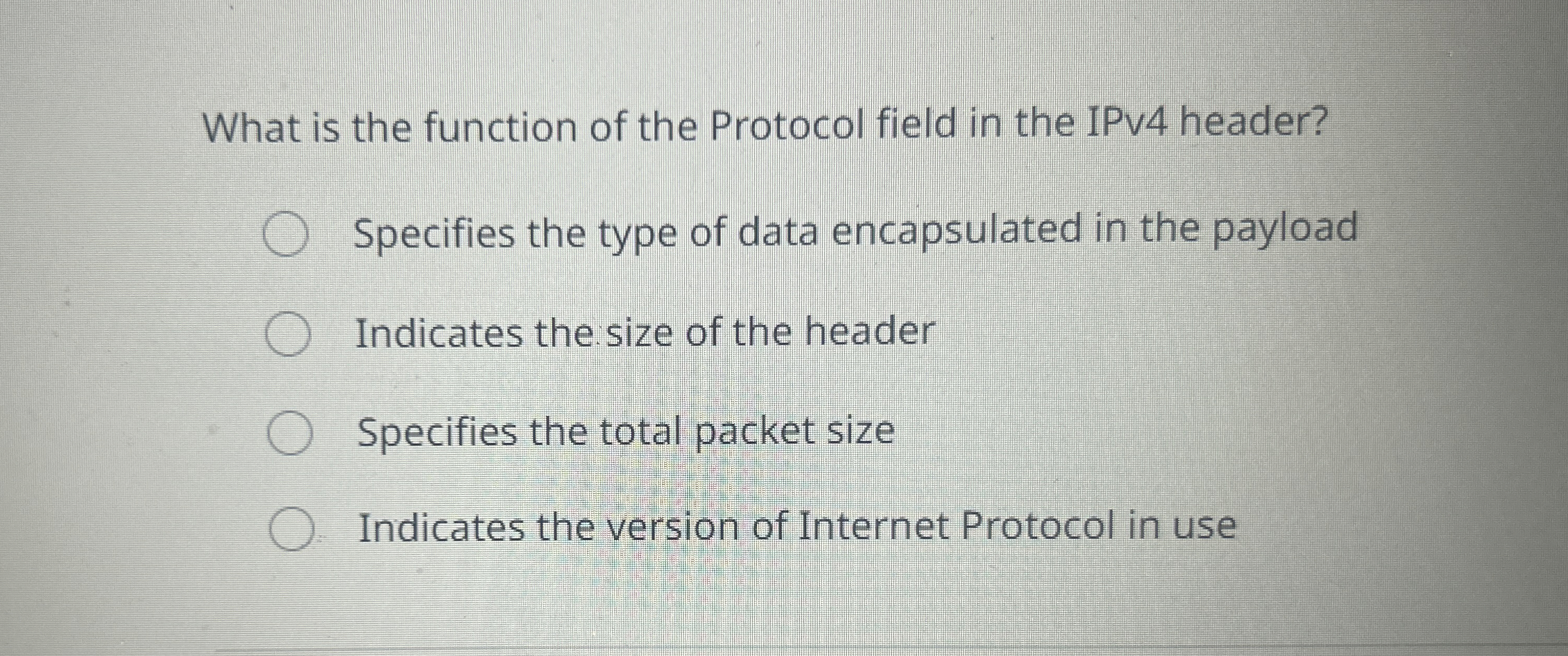 What is the function of the Protocol field in the