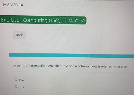 MANCOSA End User Computing ( 1 5 cr ) Jul 2 4 Y 1