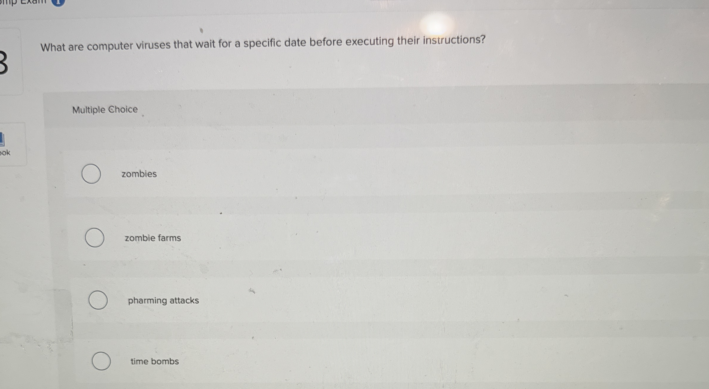 What are computer viruses that wait for a