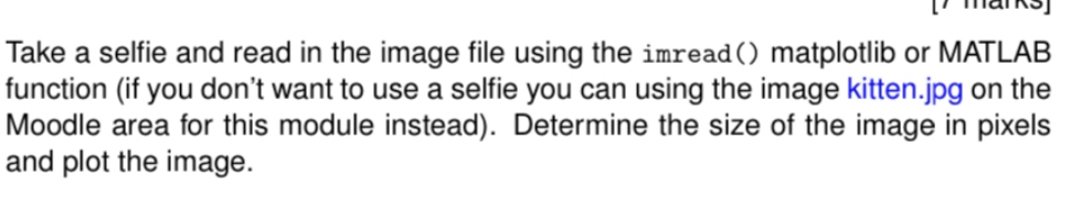  Take a selfie and read in the image file using the