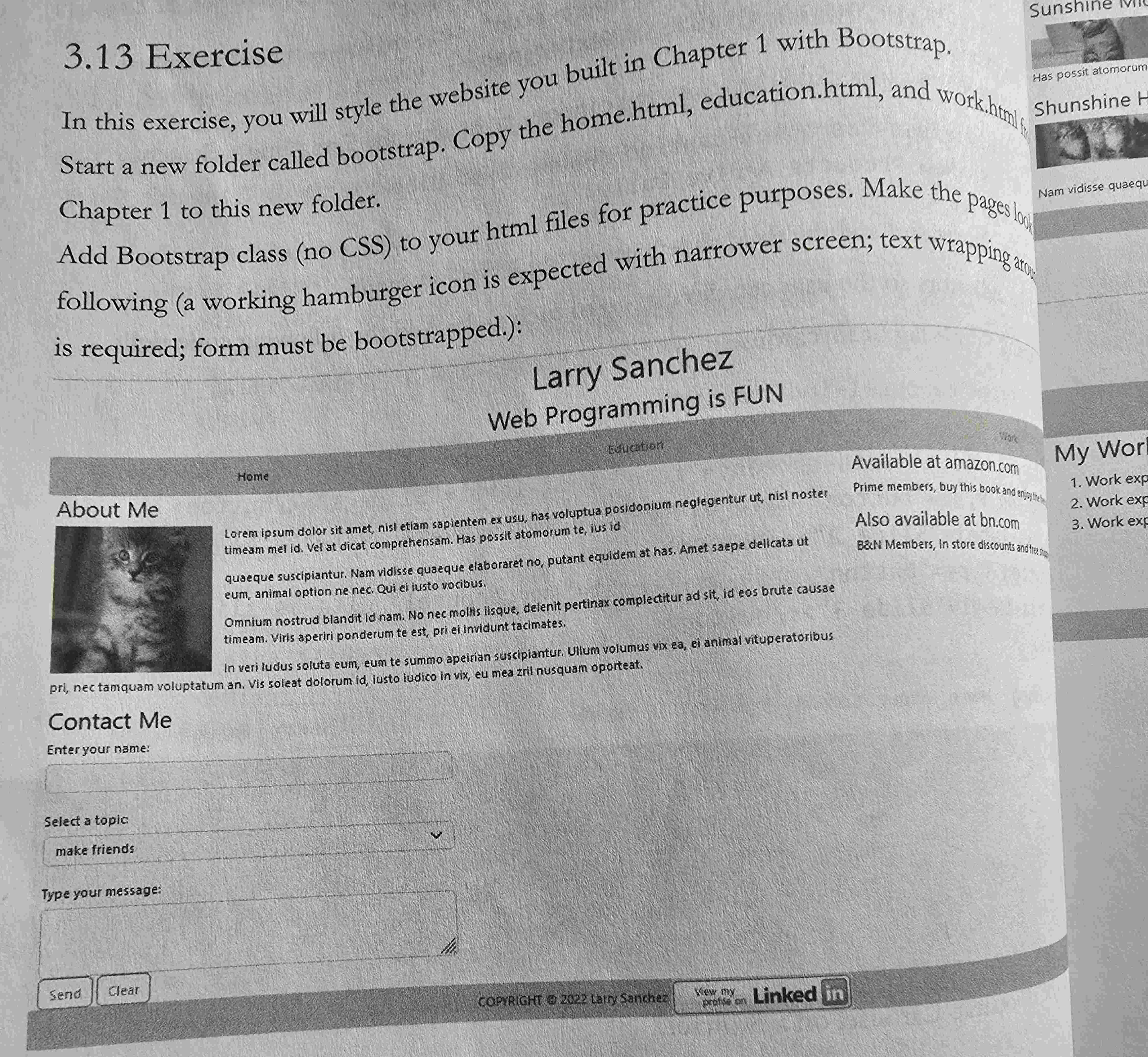 In this exercise you will style the website you