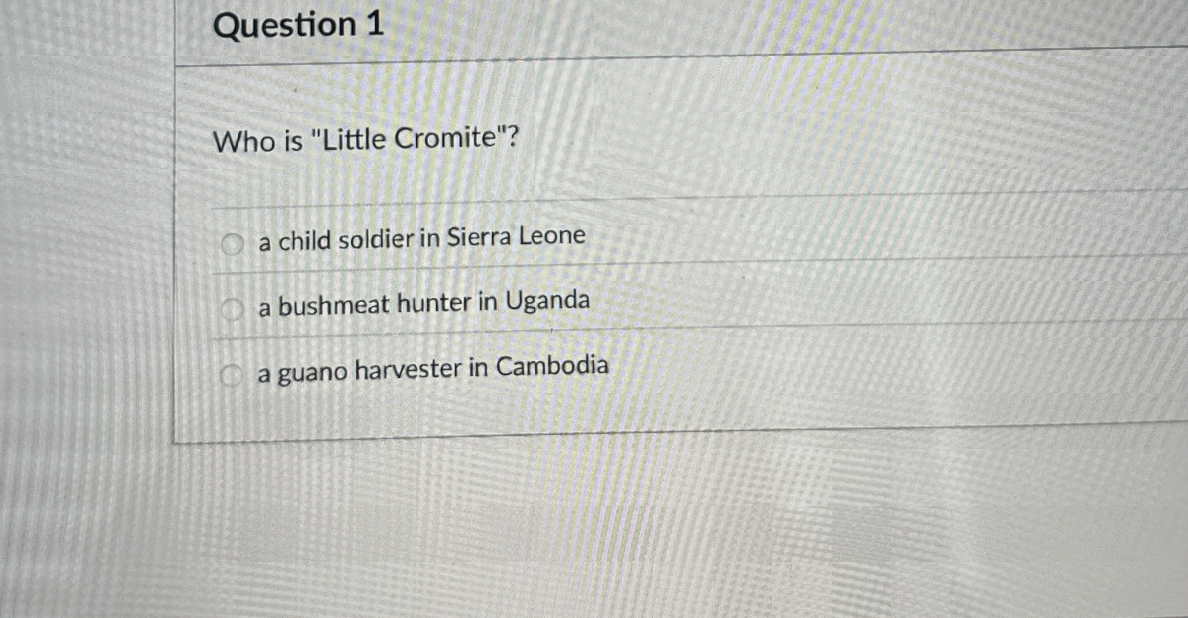 Question 1 Who is "Little Cromite"? a child