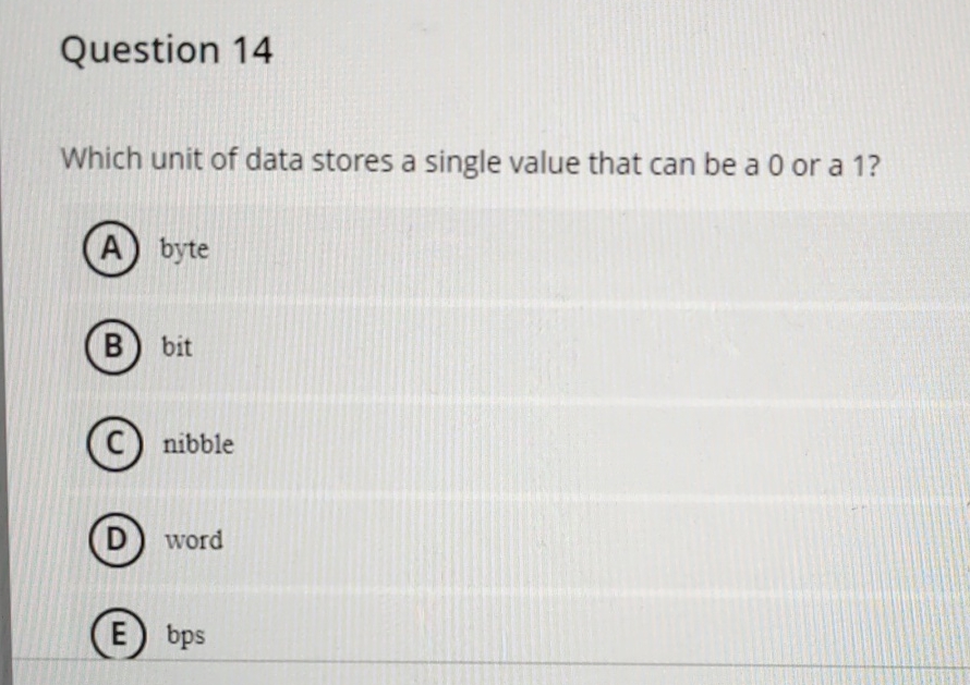 Question 1 4 Which unit of data stores a single