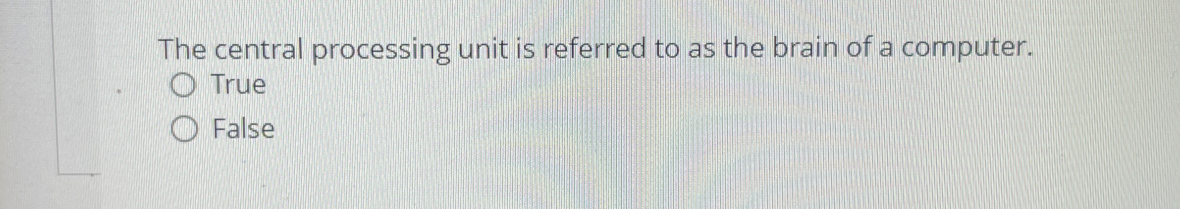 The central processing unit is referred to as the