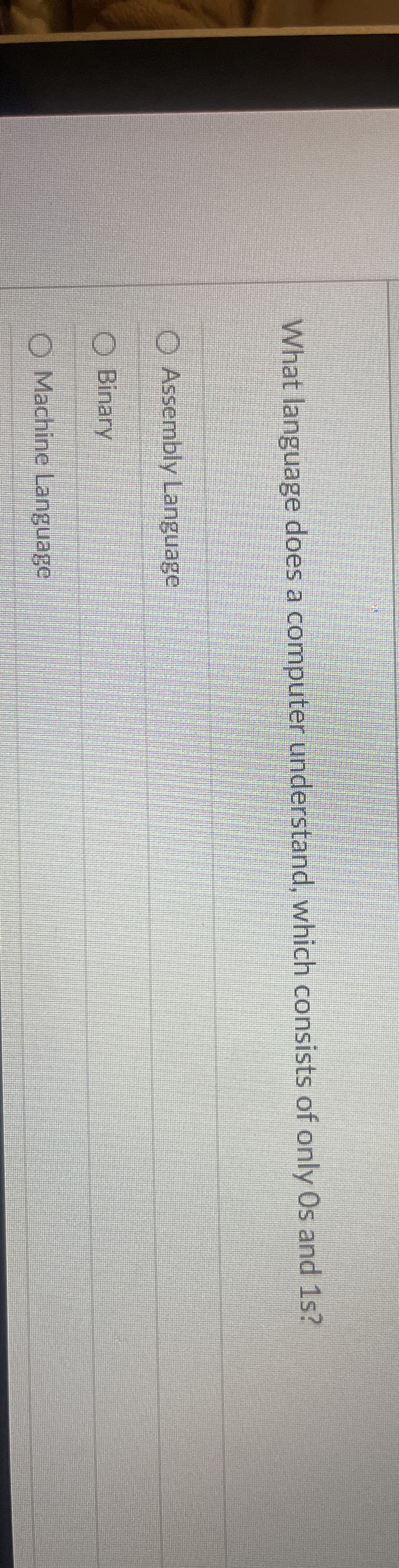 What language does a computer understand, which