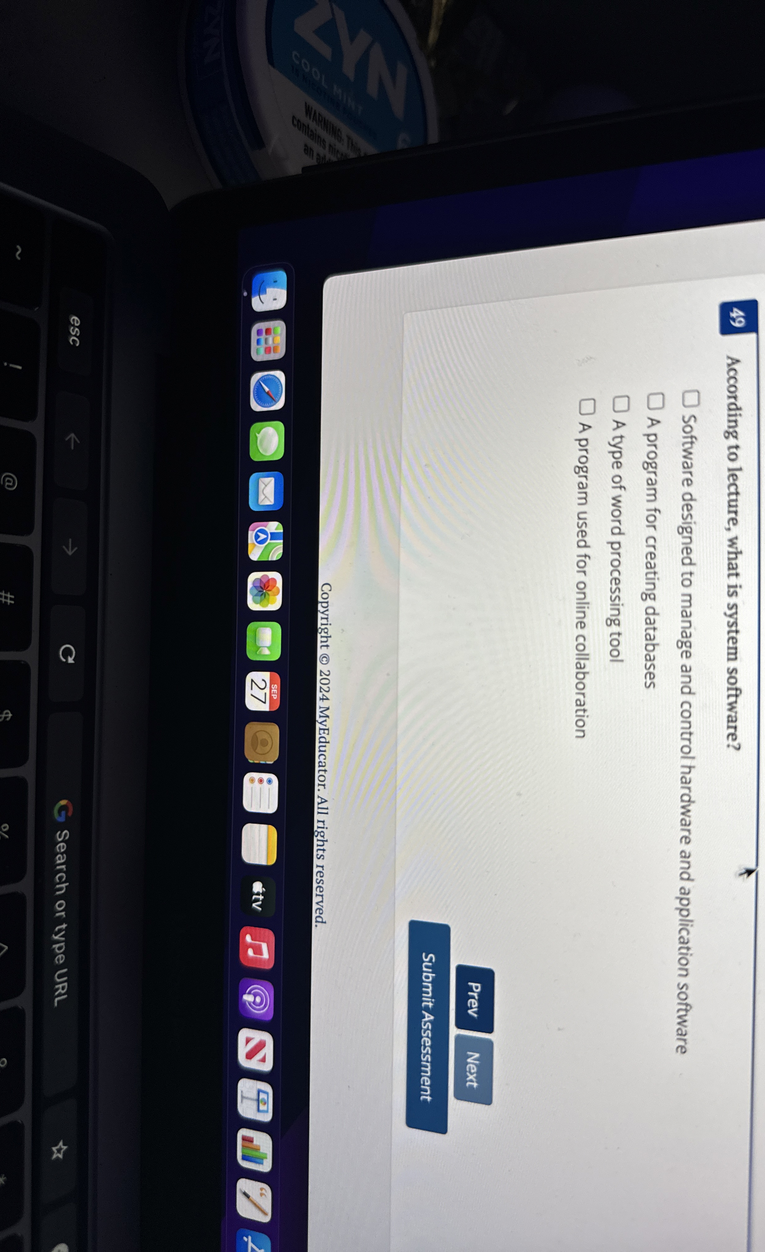 According to lecture, what is system software?