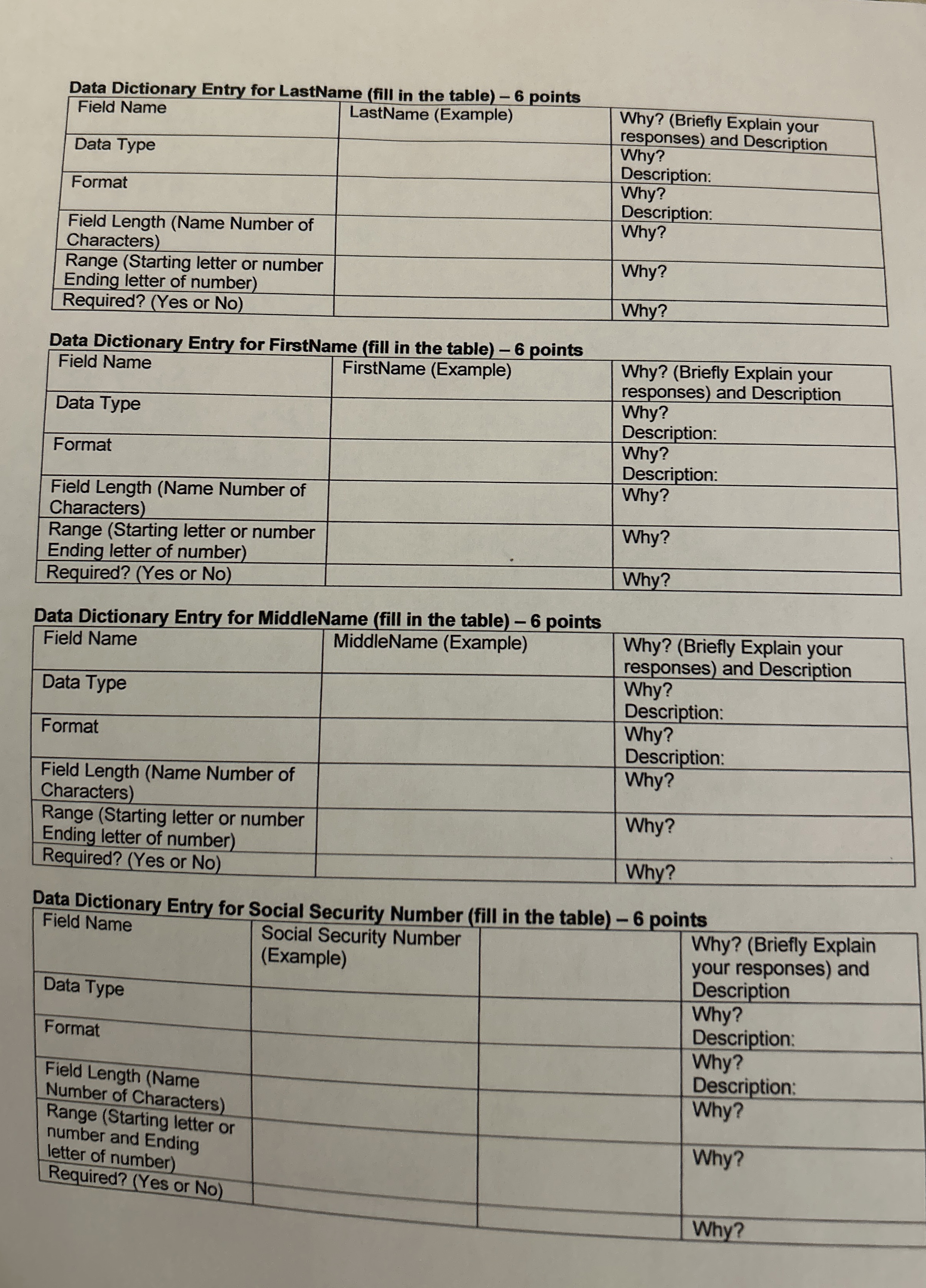 Data Dictionary Entry for LastName ( fill in the
