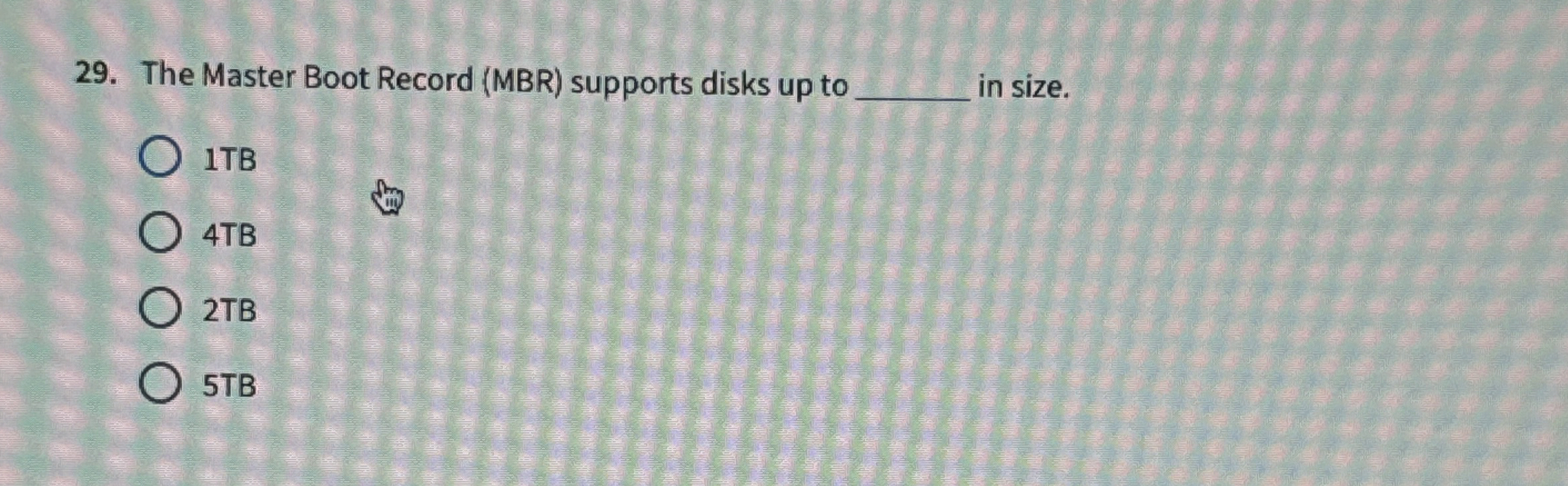 The Master Boot Record ( MBR ) supports disks up